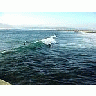Photo Small Surfing At Ocean Beach Ocean