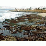 Photo Small Tide Pools 3 Ocean title=