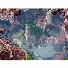 Photo Small Tide Pools 4 Ocean