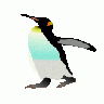 Emperor Penguin Ralf Ste 01 Animal
