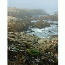Photo Small Monterey Fog Travel
