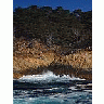 Photo Small Point Lobos Travel