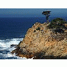Photo Small Point Lobos 2 Travel title=