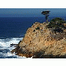 Photo Small Point Lobos 2 Travel