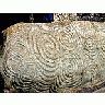 Photo Small Newgrange Travel