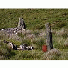Photo Small Standing Stone Travel title=