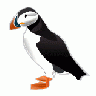 Puffin Md Animal title=