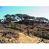 Photo Small Torrey Pines State Park Travel title=