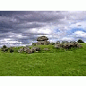 Photo Small Carrowmore Travel title=