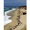 Photo Small La Jolla Beaches Travel title=