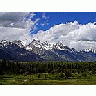 Photo Small Grand Teton Flowers Travel title=