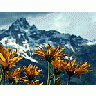 Photo Small Grand Tetons Travel title=