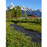 Photo Small Grand Tetons Barn Travel