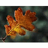 Photo Small Zion National Park 12 Travel title=
