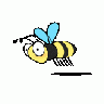 Bee3 Mimooh 01 Animal title=
