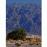 Photo Small Desert Travel title=