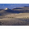 Photo Small Sand Dunes 5 Travel