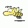 Bee2 Mimooh 01 Animal title=