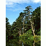 Photo Small Golden Gate Park Stow Lake Travel title=