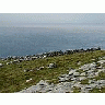 Photo Small Burren 2 Travel title=