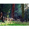 Photo Small Sequoia 4 Travel