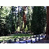 Photo Small Sequoia 5 Travel