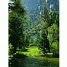 Photo Small Sequoia Meadow Travel