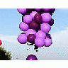 Photo Small Balloons 6 Vehicle