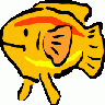 Pescetto Arancione Archi 01 Animal