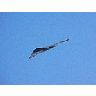 Photo Small Stealth 5 Vehicle title=