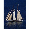 Photo Small Tall Ship Vehicle title=