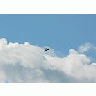 Photo Small Airplane Vehicle