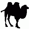 Contour Camel Animal title=