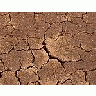 Photo Small Dried Mud Other
