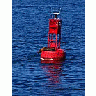 Photo Small Buoy Seal Other title=