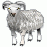Sheep Md V0.1 Animal
