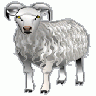 Sheep Md V0.1 Animal title=