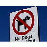 Photo Small No Dogs Allowed Other