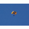 Photo Small Parachute Other