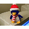 Photo Small Penguin Other