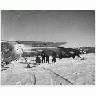 Agents Tremblay And Allen At Minto Flats 00021 Photo Small Wildlife title=