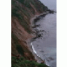 Aleutian Cackling Geese On Sea Bluff 00062 Photo Small Wildlife