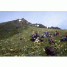 Aleutian Cackling Goose Survey Crew 00065 Photo Small Wildlife title=