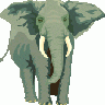 Elefante01 Architetto Fr 01 Animal title=