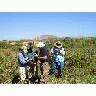 WOE94 Volunteers In Training To Map Invasive Plants At San Pablo NWR 00108 Photo Small Wildlife