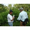 WOE96 Volunteers In Training To Map Invasive Plants At San Bernard NWR 00110 Photo Small Wildlife