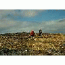 Agattu Island Hikers 00126 Photo Small Wildlife title=