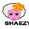 Shaezy Peterm  Animal