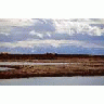1002 Area FWS Bird Research Camp On Canning River Delta 00179 Photo Small Wildlife title=
