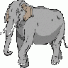 Elefante02 Architetto Fr 01 Animal title=